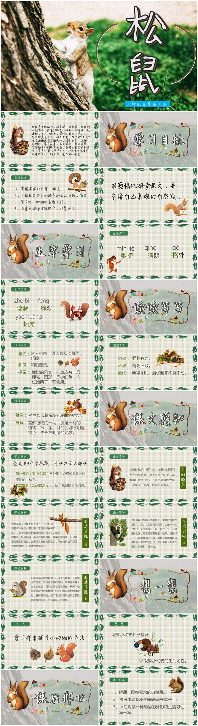 松鼠PPT课件