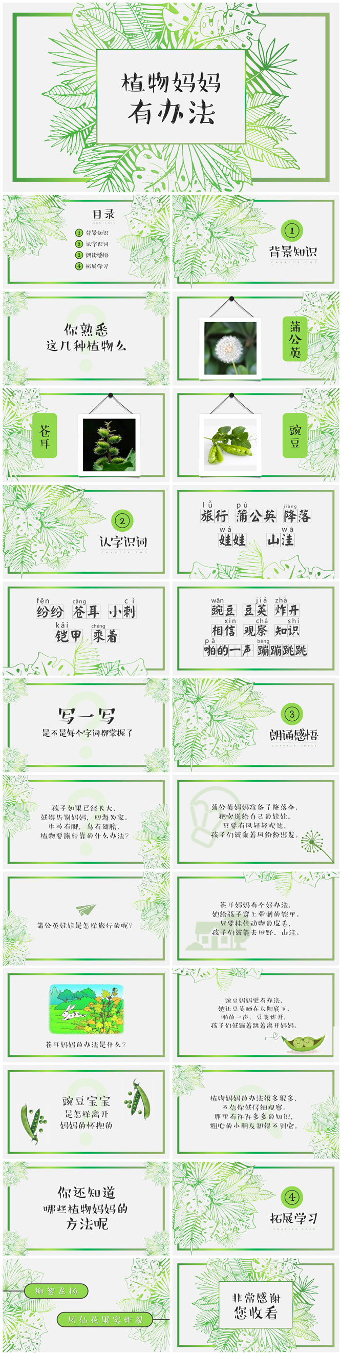 植物妈妈有办法PPT课件3