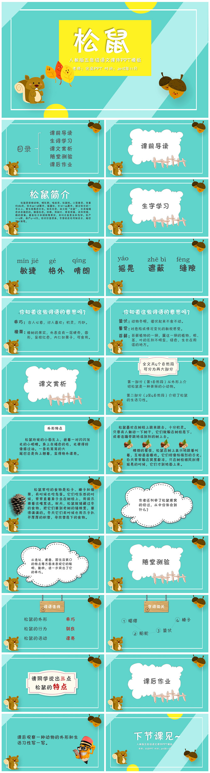 松鼠PPT课件5