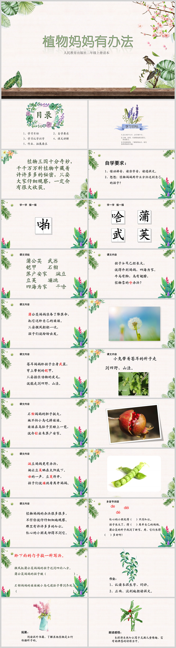 植物妈妈有办法PPT课件5