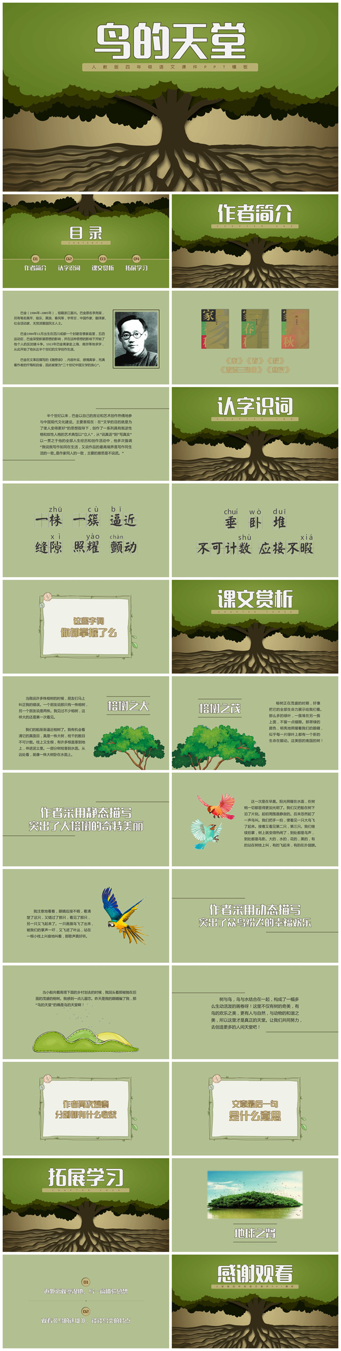 鸟的天堂PPT课件3