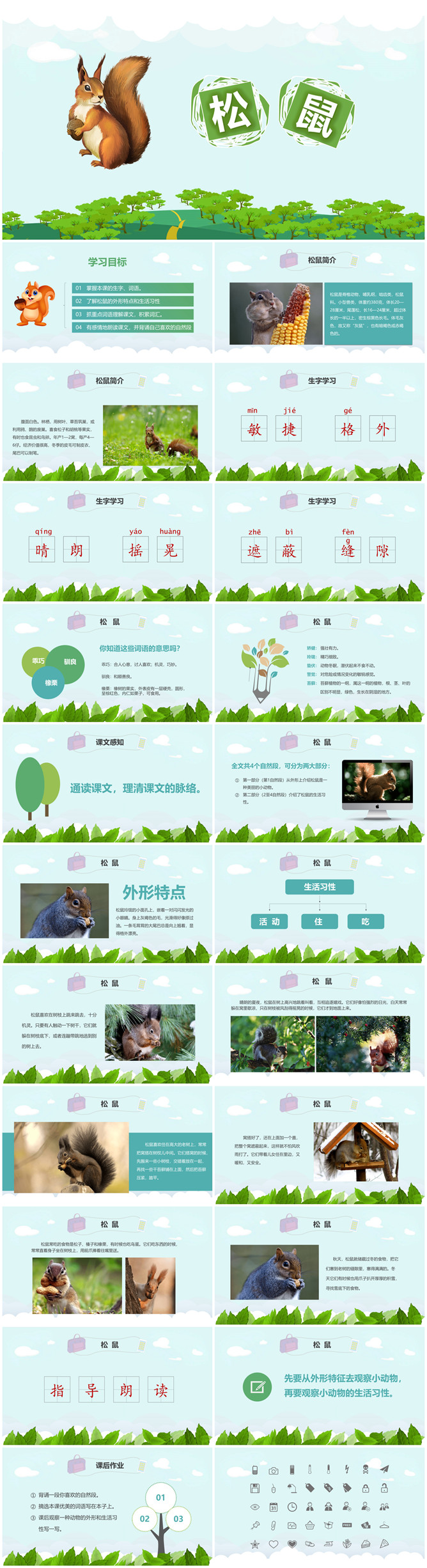 松鼠PPT课件7