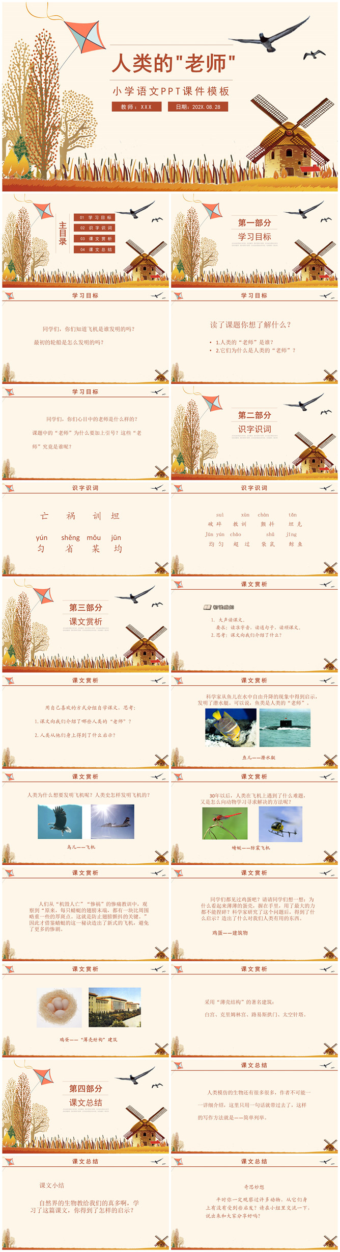 人类的老师PPT课件