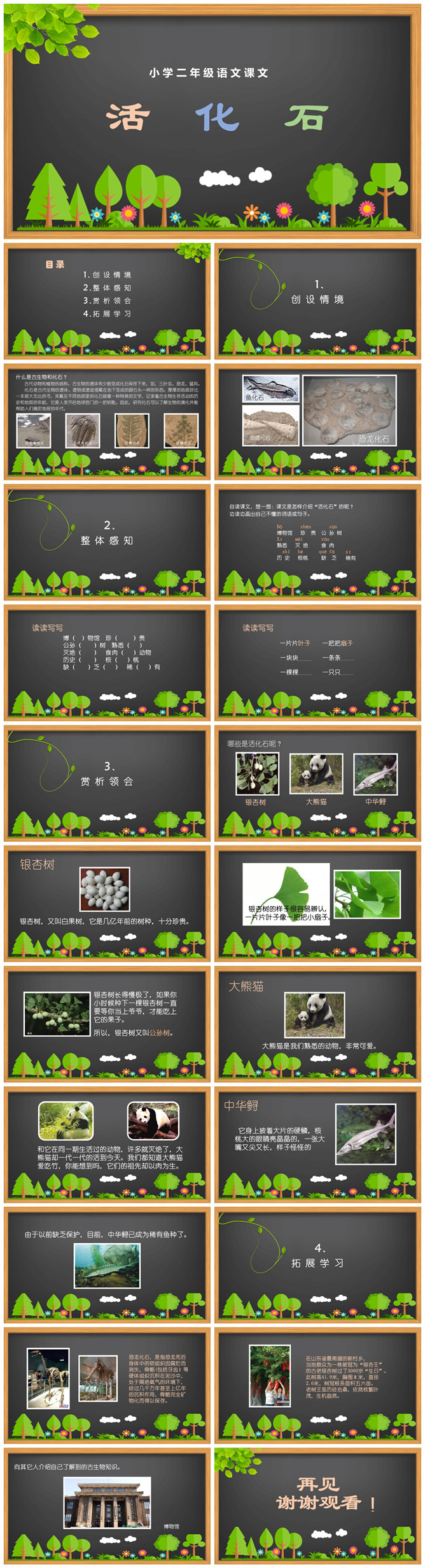 活化石PPT课件12