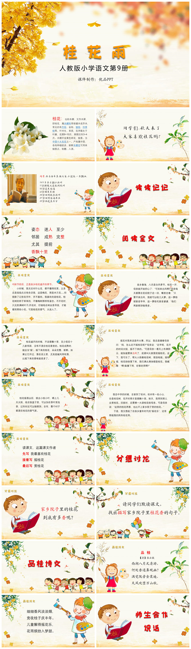 桂花雨PPT课件7