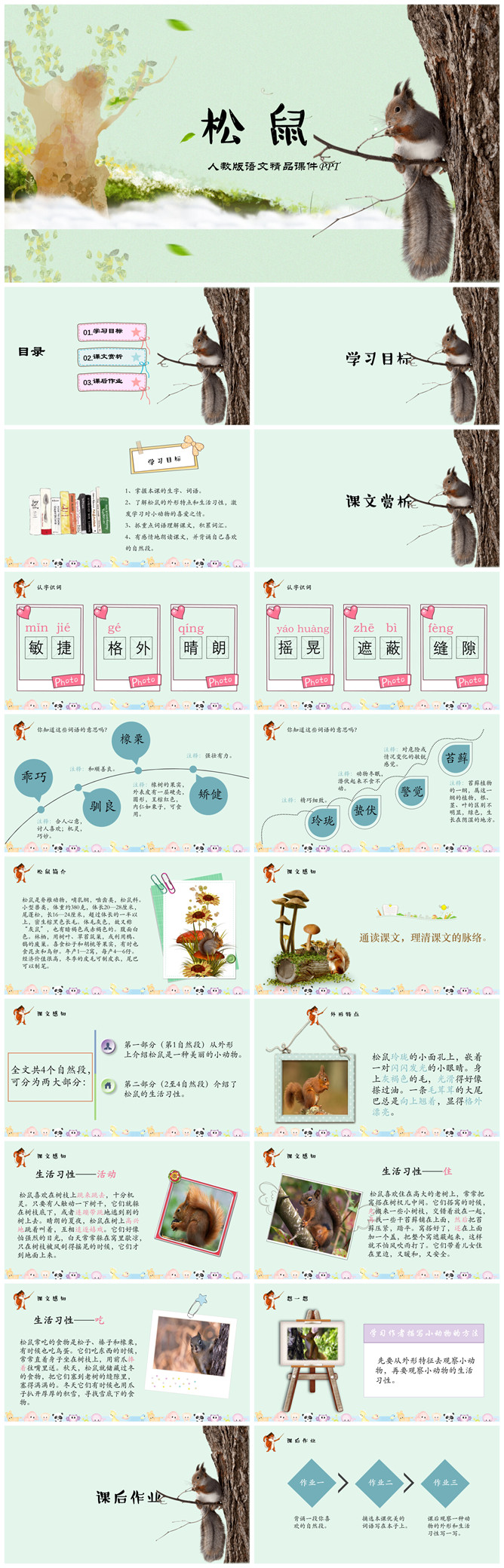 松鼠PPT课件10