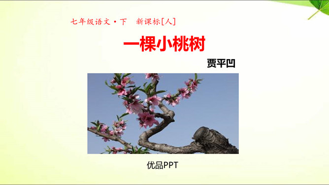 一颗小桃树PPT课件5