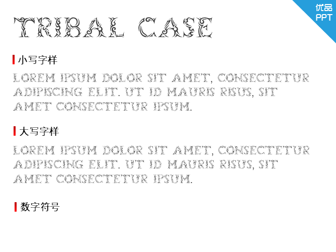Tribal Case