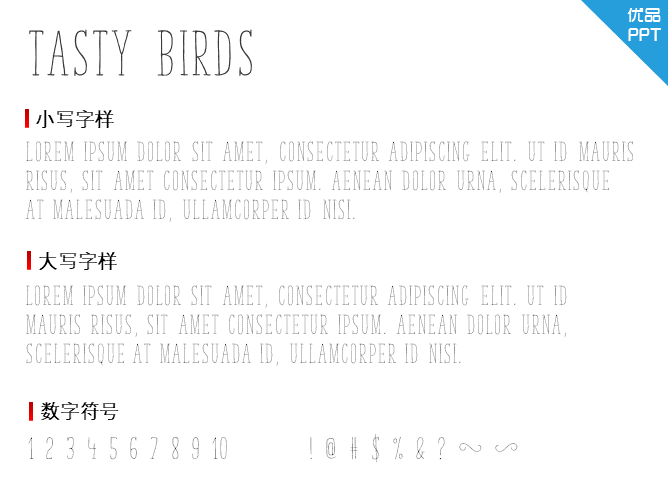 Tasty Birds