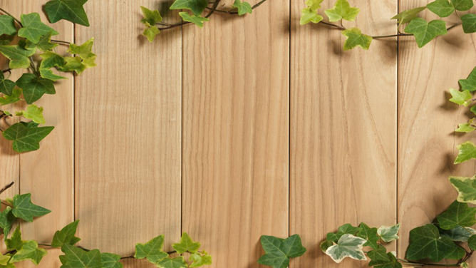 自然木板藤蔓PPT背景图片