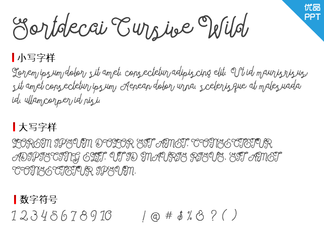 Sortdecai Cursive Wild Script