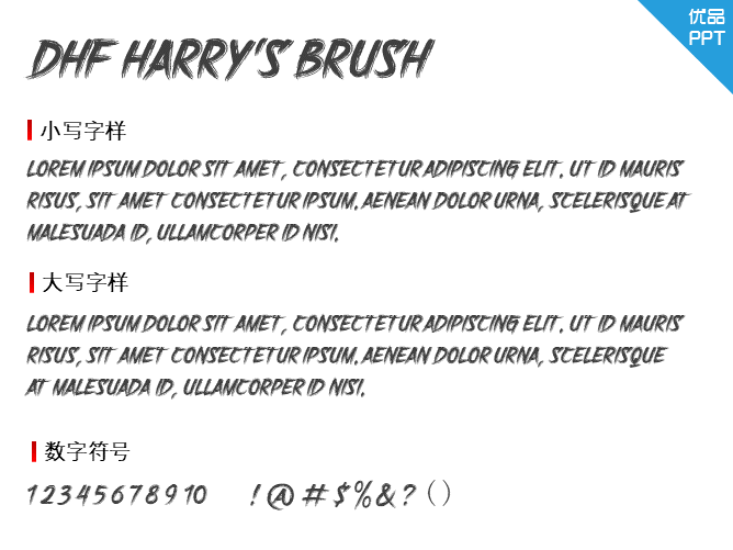 DHF Harry\'s Brush