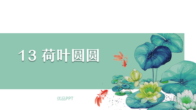 荷叶圆圆PPT课件2