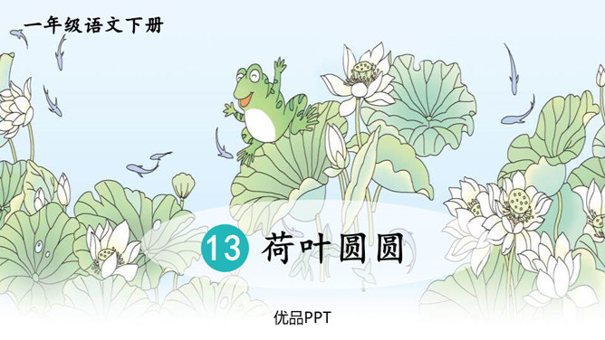 荷叶圆圆PPT课件6