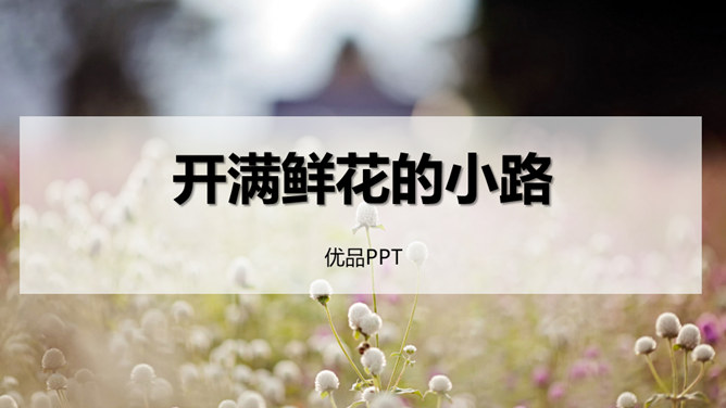 开满鲜花的小路PPT课件2