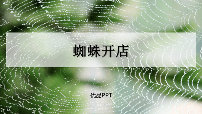 蜘蛛开店PPT课件1