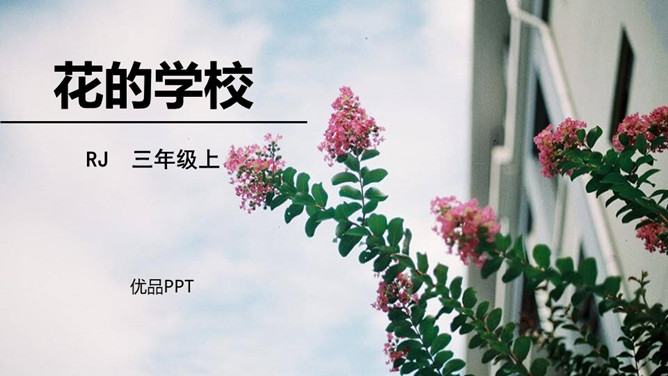 花的学校PPT课件7