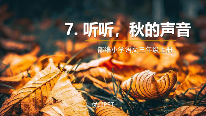 听听秋的声音PPT课件4