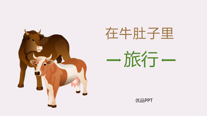 在牛肚子里旅行PPT课件5