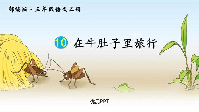 在牛肚子里旅行PPT课件8