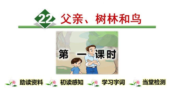 父亲树林和鸟PPT课件8