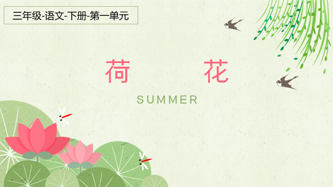 荷花PPT课件4