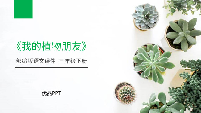 我的植物朋友PPT课件8