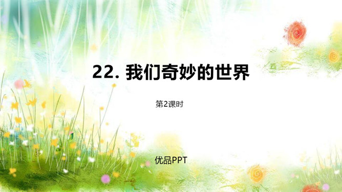 我们奇妙的世界PPT课件5