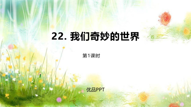 我们奇妙的世界PPT课件6