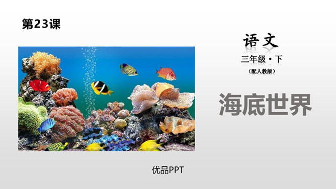 海底世界PPT课件2