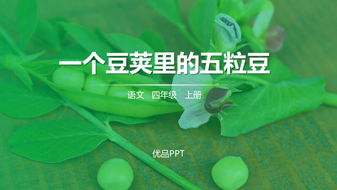 一个豆荚里的五粒豆PPT课件6