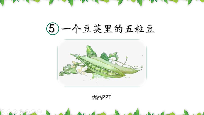 一个豆荚里的五粒豆PPT课件7