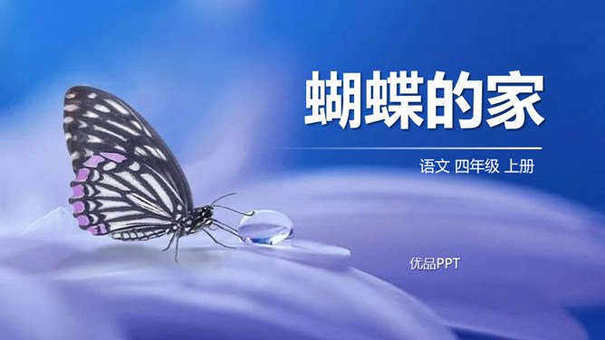 蝴蝶的家PPT课件3