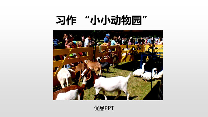 小小动物园PPT课件2