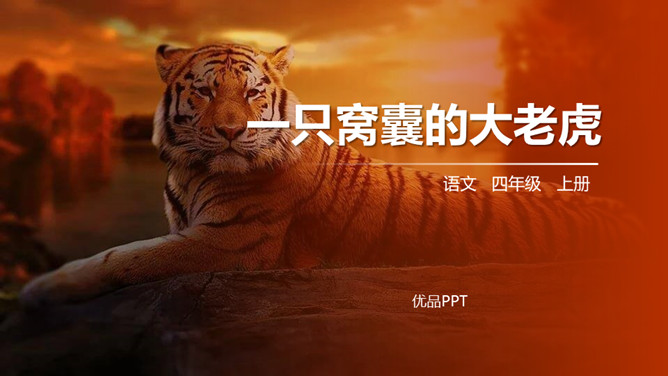 一只窝囊的大老虎PPT课件3
