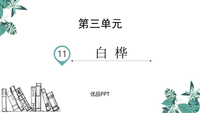 白桦PPT课件7