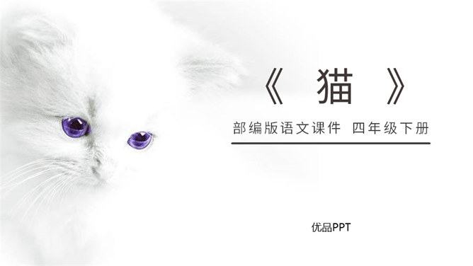 猫PPT课件1