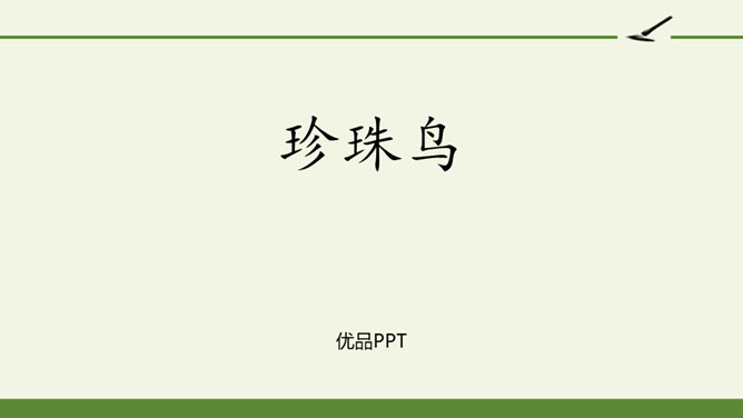 珍珠鸟PPT课件8