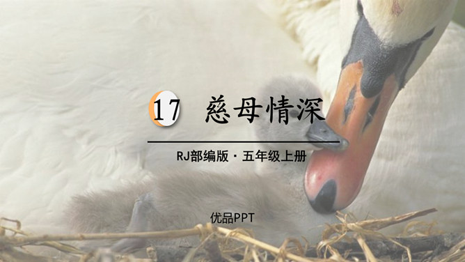 慈母情深PPT课件5