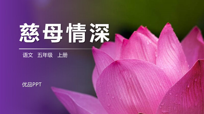 慈母情深PPT课件7