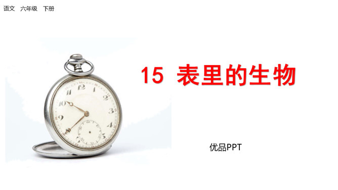 表里的生物PPT课件6