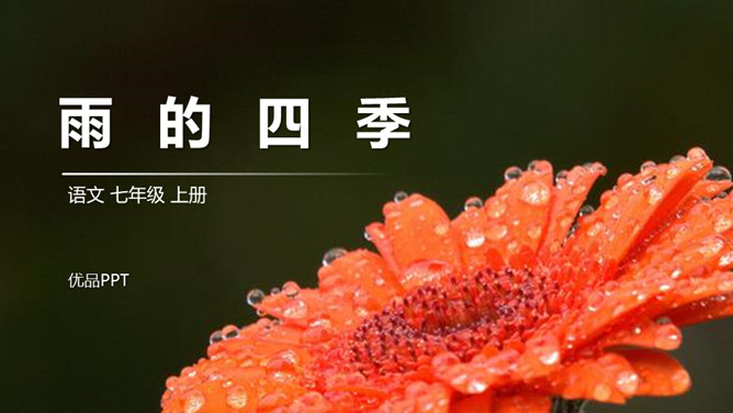 雨的四季PPT课件6