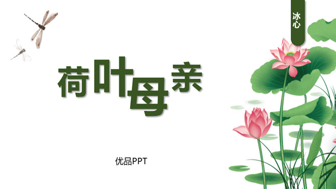 荷花母亲PPT课件6