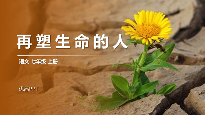 再塑生命的人PPT课件5