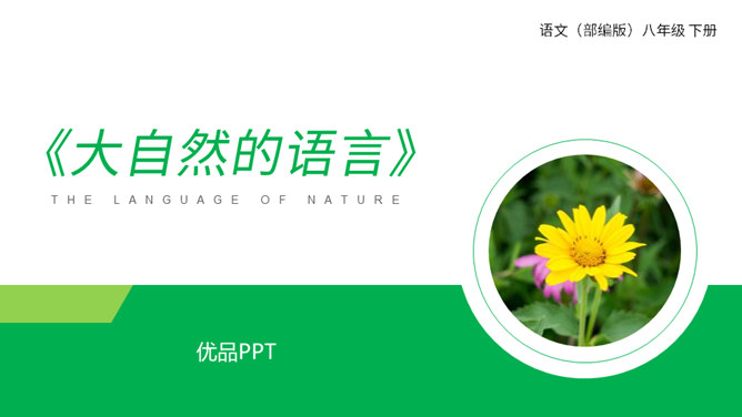 大自然的语言PPT课件4