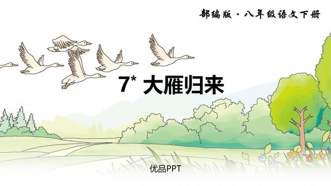 大雁归来PPT课件4