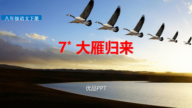 大雁归来PPT课件5