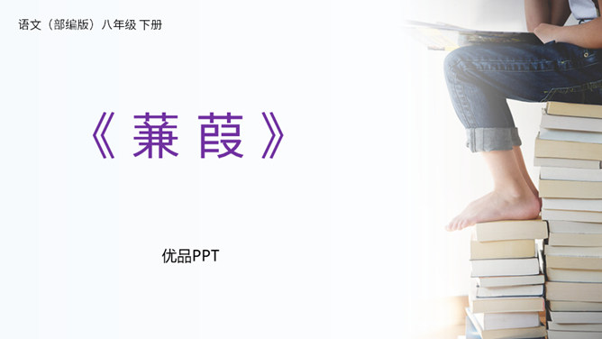 蒹葭PPT课件3