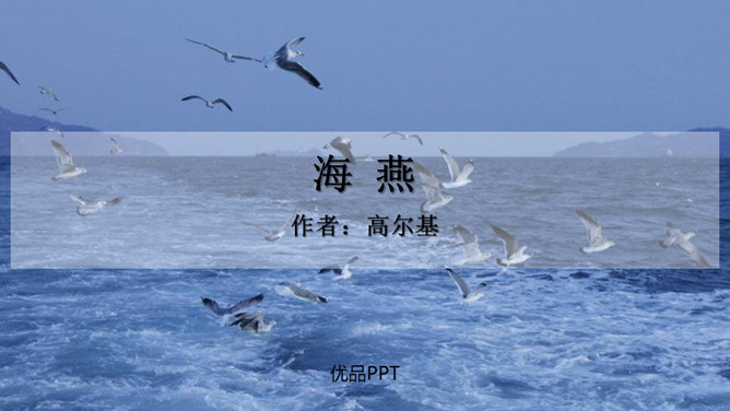 海燕PPT课件7