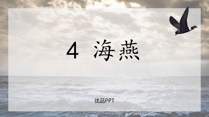 海燕PPT课件8